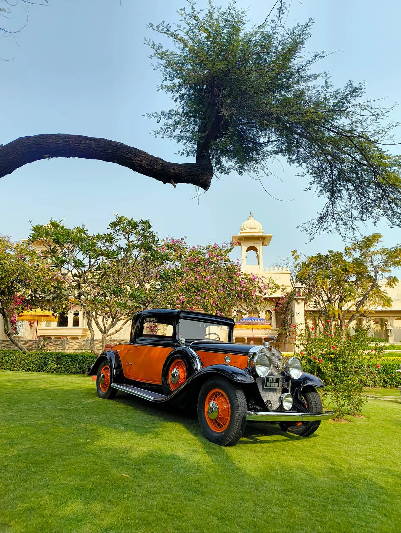 A 1931 Cadillac 355-A convertible coupe
