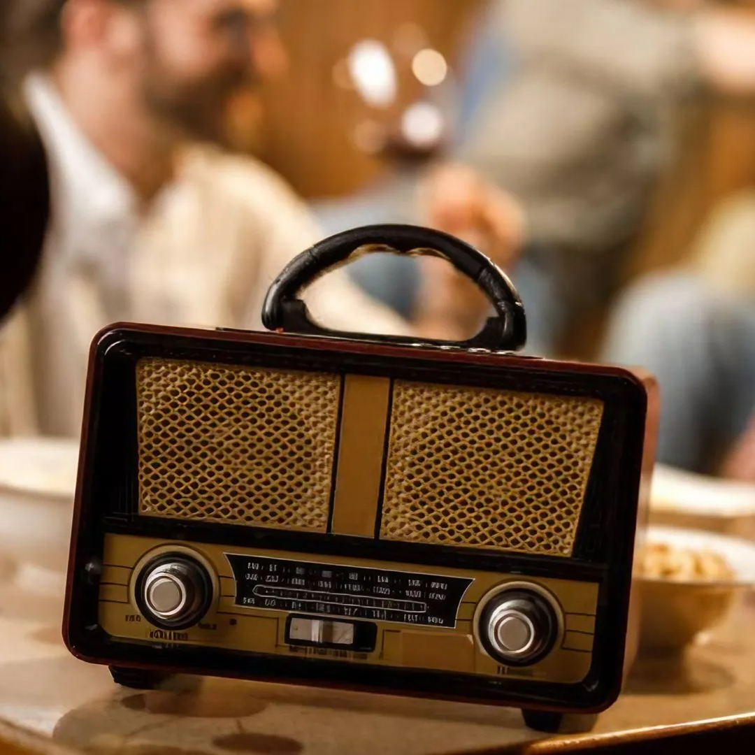 Best speakers for house party