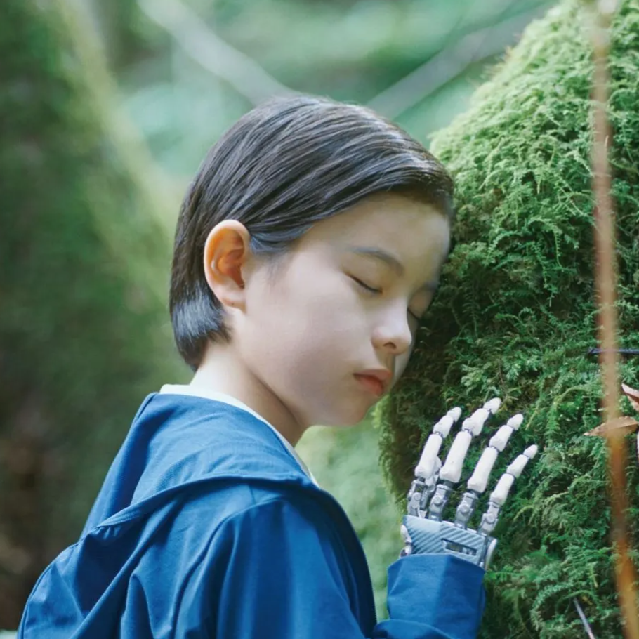 Still From Japanese Film Sheep In The Box