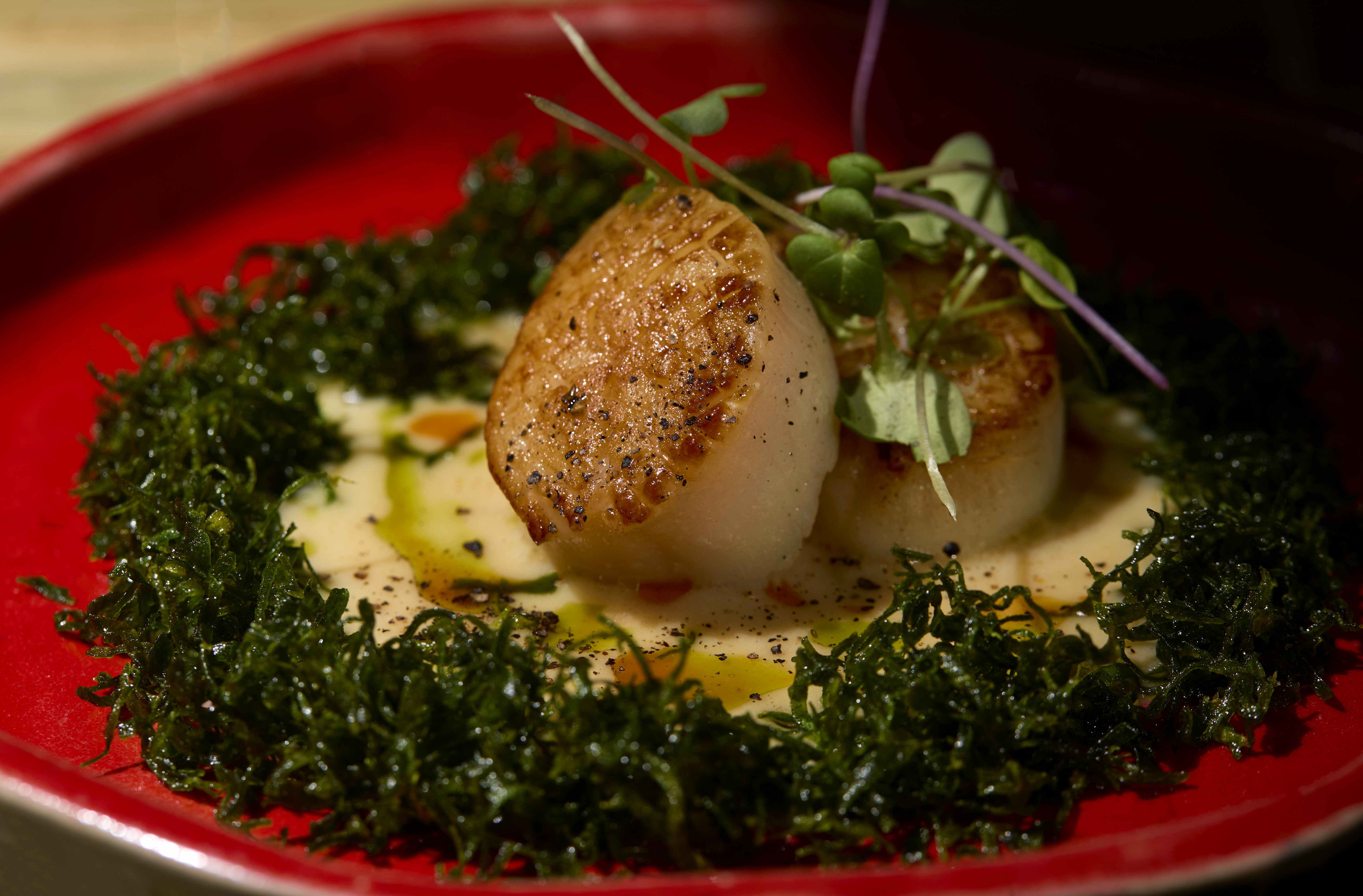 Miso Butter Scallops 3 (1)_1 (1)