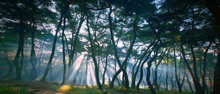 2337703c-bd20-4a51-adb7-339dd181143e