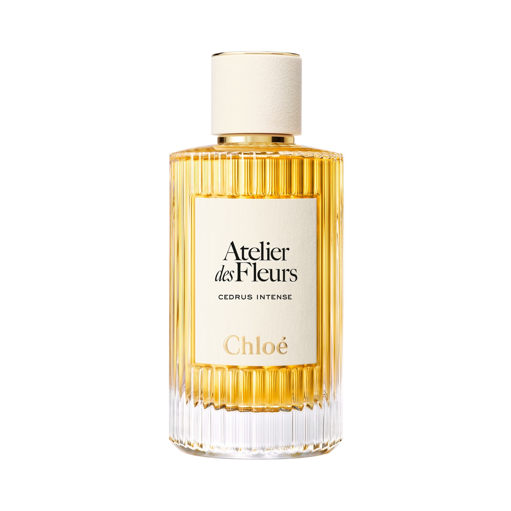 Chloe ADF- Cedrus Intense