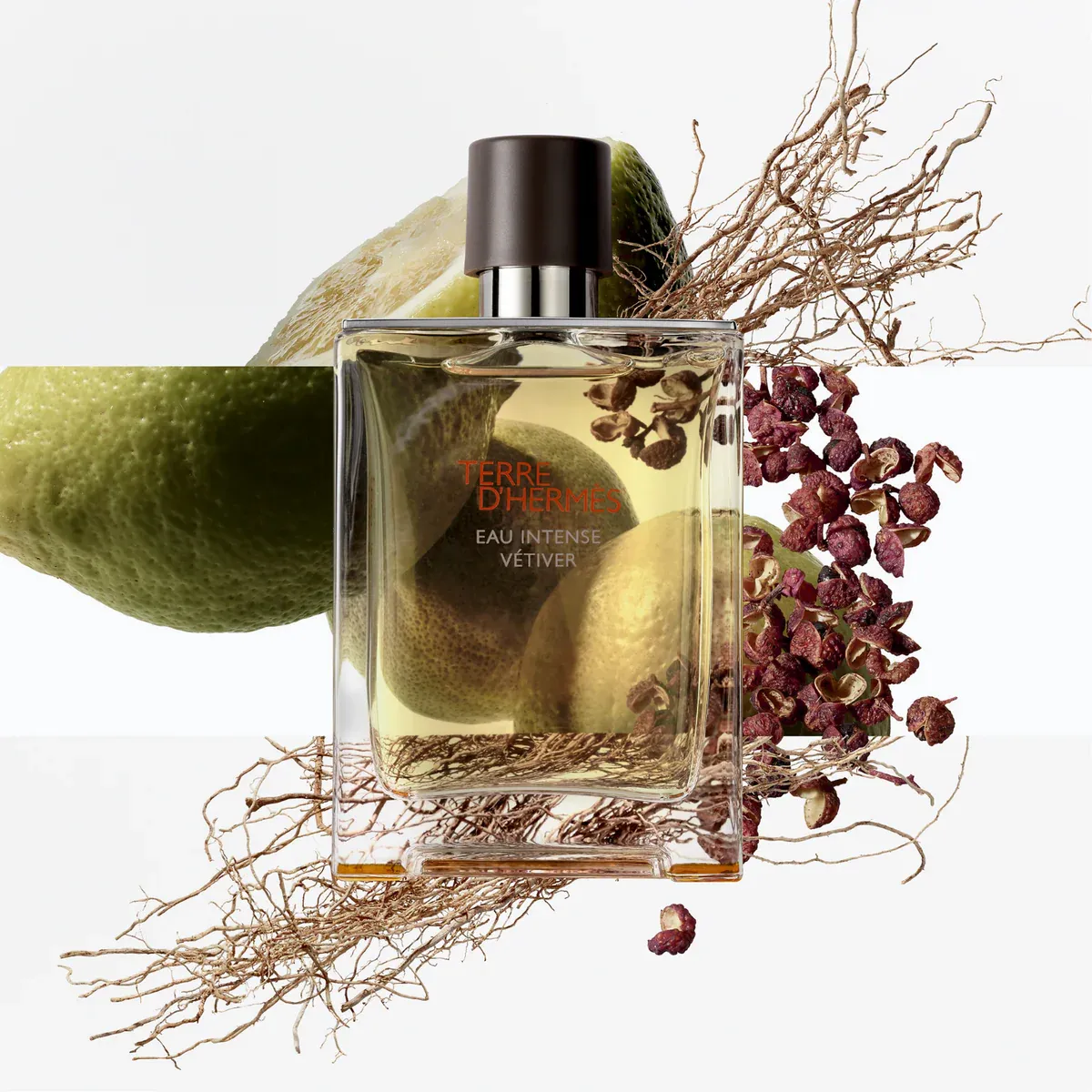 Terre d'Hermès Eau Intense Vétiver