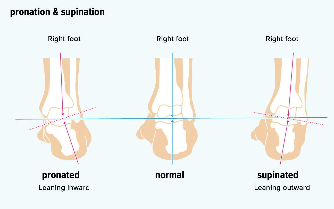 foot-shapes-pronation-supination-1296x728-body-1296x812