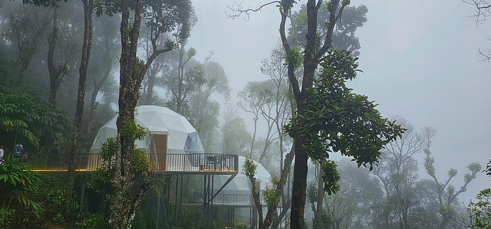 Ditch The City For Peak Escapes: 5 Luxe Mountain Stays You Should